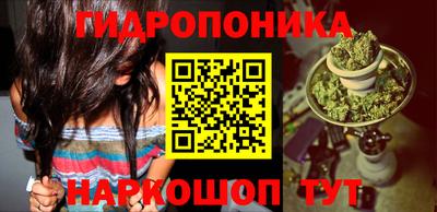 гашик Лесосибирск