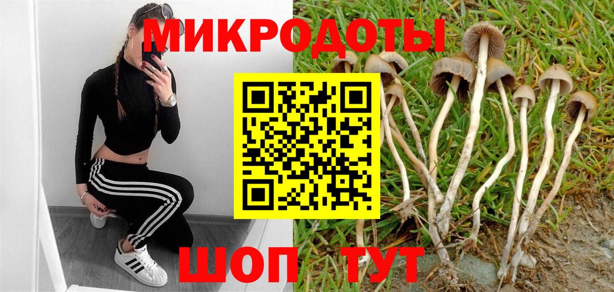 Галлюциногенные грибы мицелий  Вход с VPN  Дмитров 